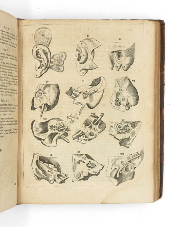 <span class="artist-name-product">VESLING  Johannes</span> Syntagma anatomicum, commentario atque appendice. Editio secunda. - Image 6