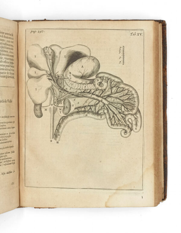 <span class="artist-name-product">VESLING  Johannes</span> Syntagma anatomicum, commentario atque appendice. Editio secunda. – Image 7