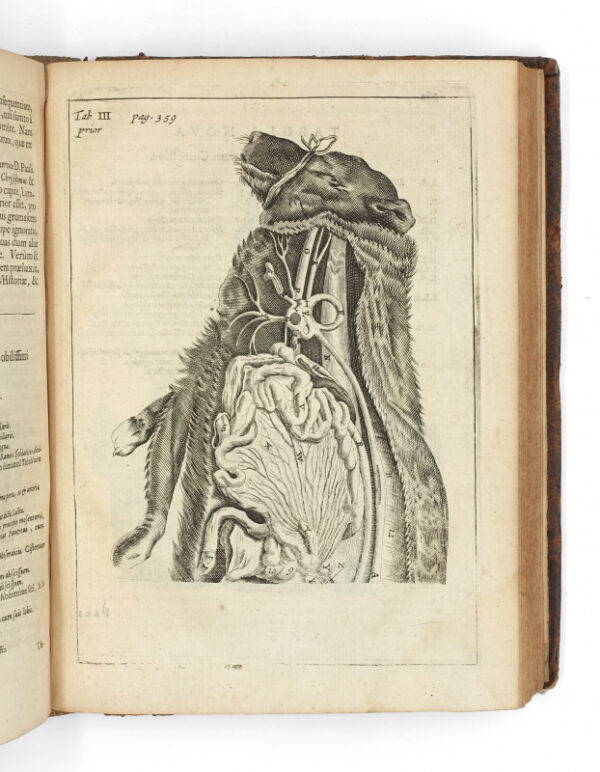 <span class="artist-name-product">VESLING  Johannes</span> Syntagma anatomicum, commentario atque appendice. Editio secunda. – Image 8