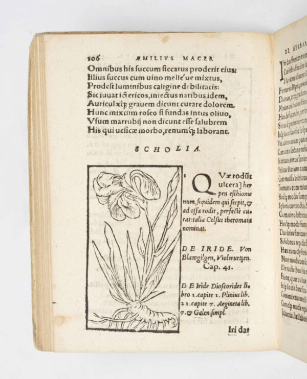 <span class="artist-name-product">MACER FLORIDUS </span> De Herbarum Virtutibus Aemilii Macri Veronensis elegantissima poesis, cum succincta admodum difficilium & obscurorum locorum, D. Georgii Pictorii... expositione... & in lucem edita. Cum Carmine de Herba quadam exotica... D. Georgio Pictorio Villingano autore. – Image 4