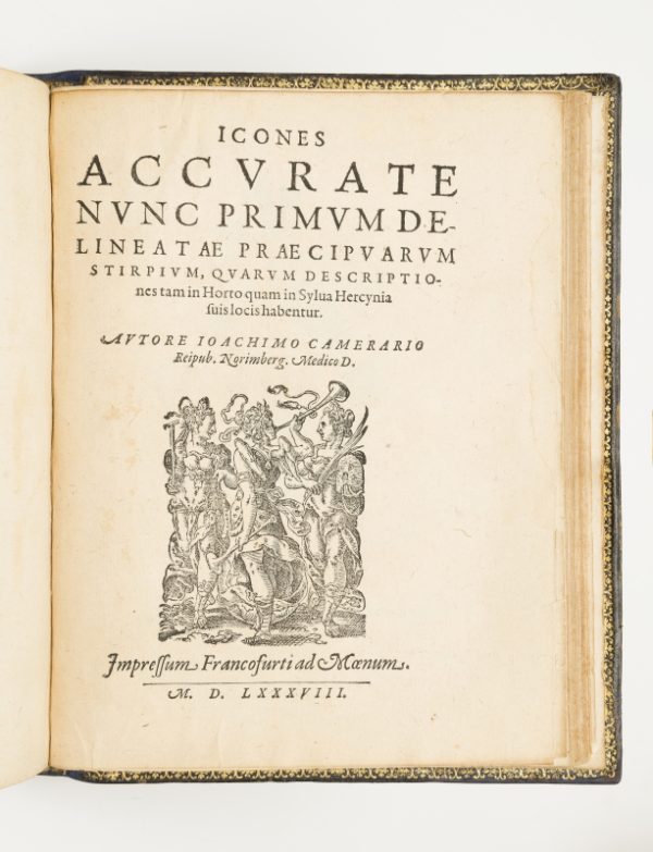 <span class="artist-name-product">CAMERARIUS  Joachim</span> Hortus medicus et philosophicus...Bound with: THAL, J. Sylva Hercynia... Bound with: CAMERARIUS, Joachim. Icones... descriptiones term in horto quam in Sylvia Hercynia. - Image 2