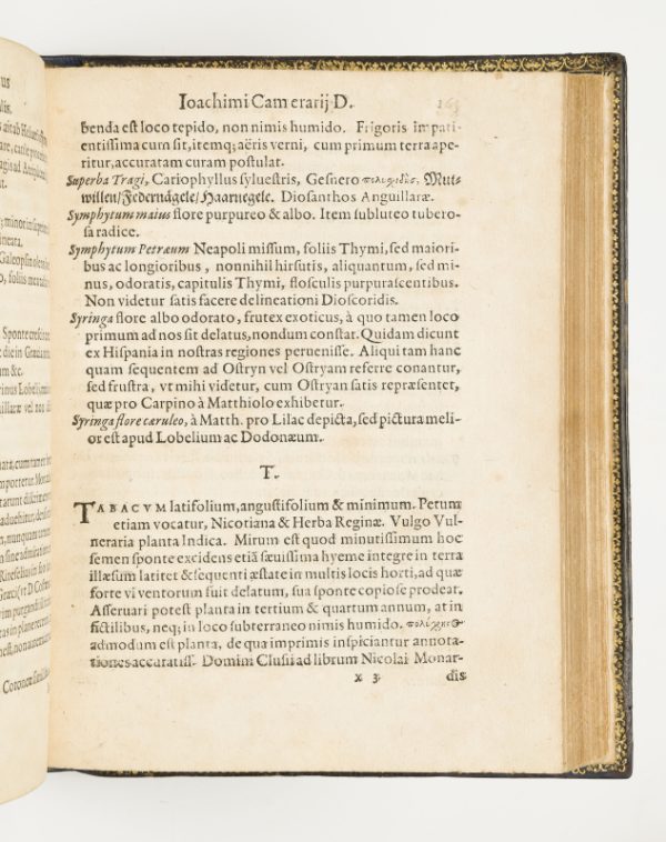 <span class="artist-name-product">CAMERARIUS  Joachim</span> Hortus medicus et philosophicus...Bound with: THAL, J. Sylva Hercynia... Bound with: CAMERARIUS, Joachim. Icones... descriptiones term in horto quam in Sylvia Hercynia. – Image 4