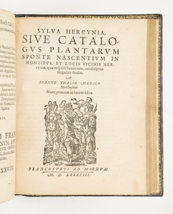 <span class="artist-name-product">CAMERARIUS  Joachim</span> Hortus medicus et philosophicus...Bound with: THAL, J. Sylva Hercynia... Bound with: CAMERARIUS, Joachim. Icones... descriptiones term in horto quam in Sylvia Hercynia. - Image 5